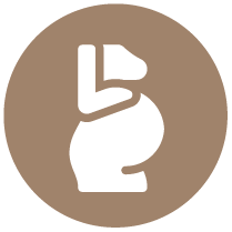 Maternity Wear